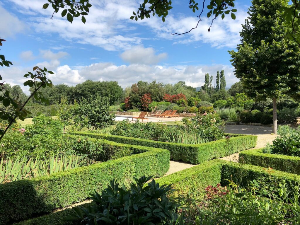 Haie élaguée par Filea Paysages