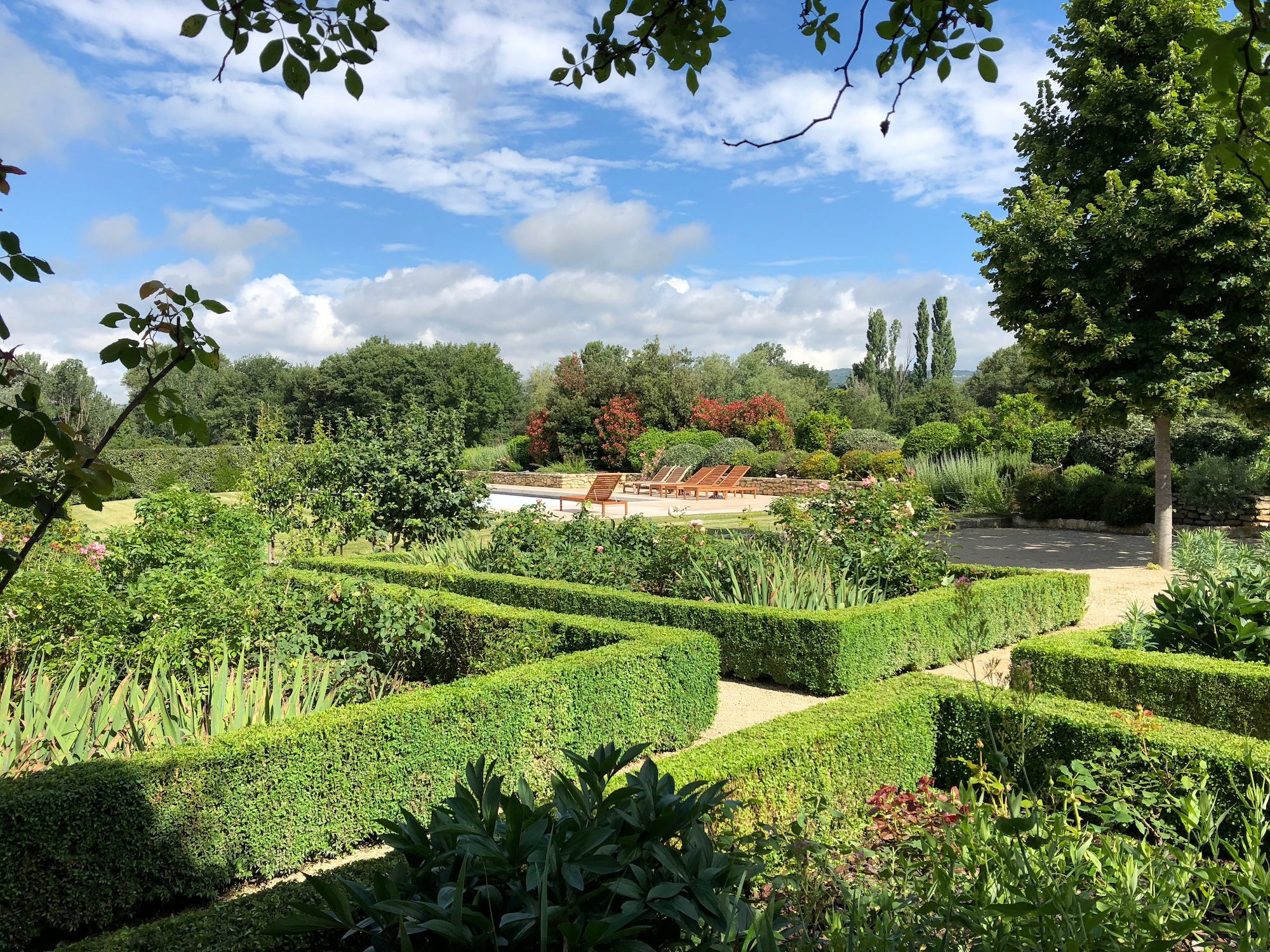 Haie élaguée par Filea Paysages