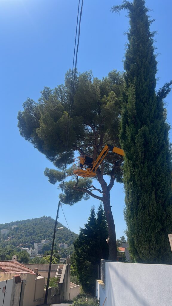 taille et elagage nacelle